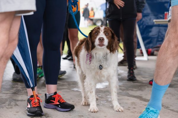 Demi_Marathon-022