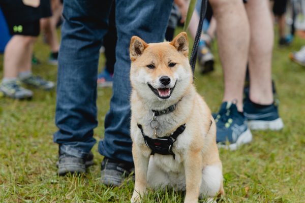 Demi_Marathon-584